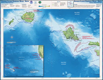 Hawaiian Island Humpback Whale north map