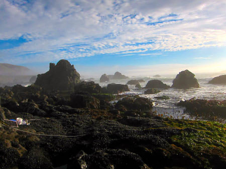 landscape view of shell beach in sonoma