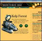 Kelp Forest Dive