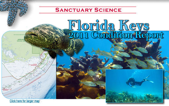Florida keys Condition Report