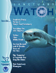 Sanctuary Watch Cover