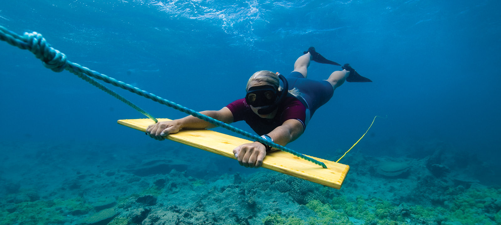 researcher being pull on a tow board underwater