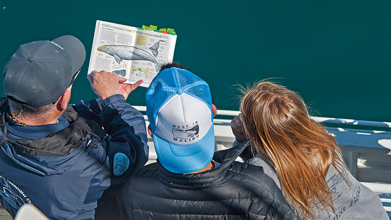 people looking at a book about whales