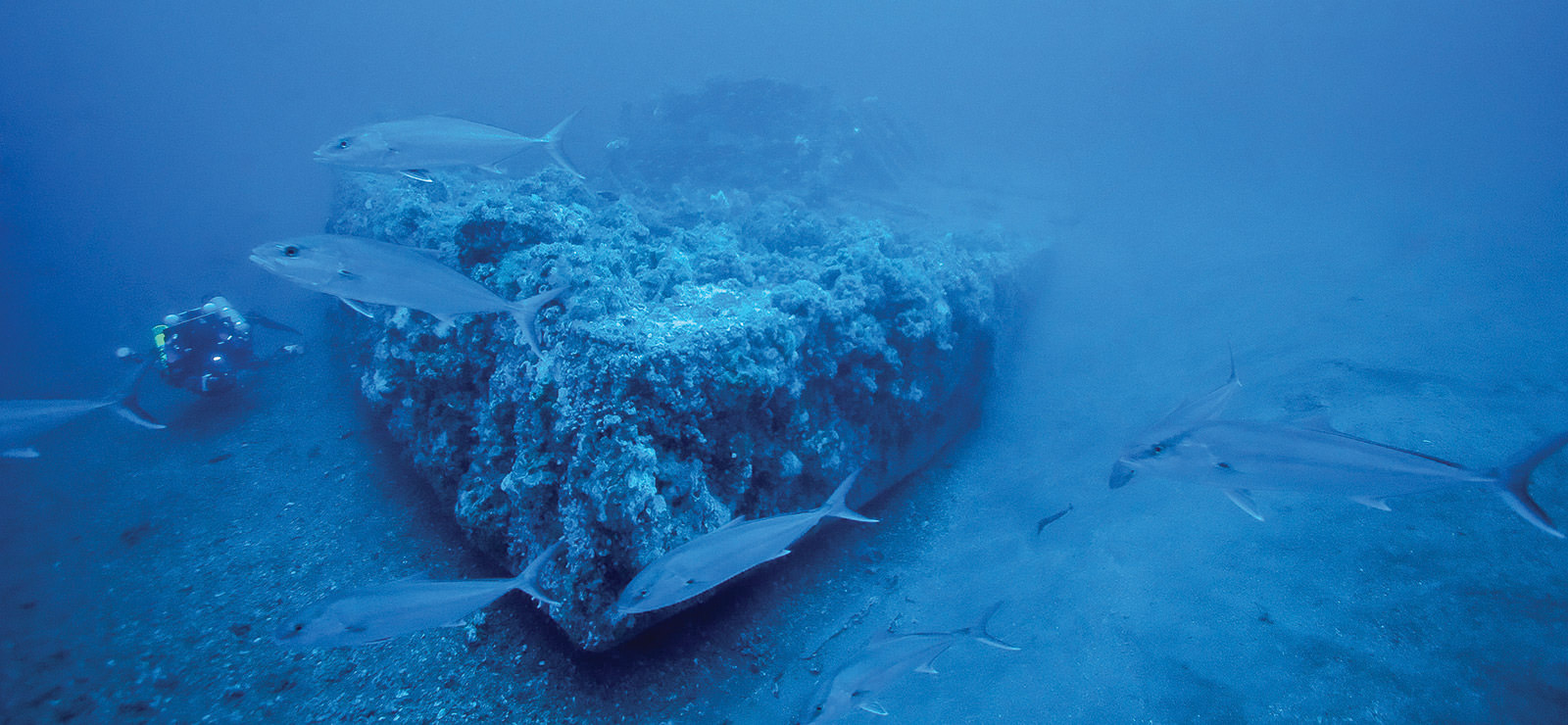 wreck of the uss monitor on the bottom of the ocean