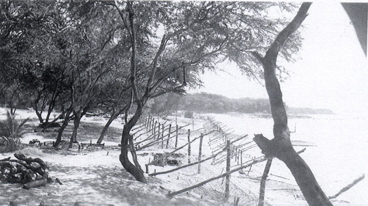 Barb wire along Maui's beaches, 1940's.