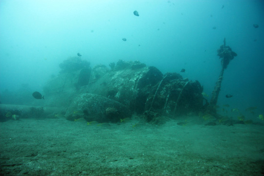 The SB2C-1C Helldiver, resting at the bottom of Ma`alaea Bay