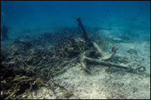 Debris might at first appear haphazard, but close inspection confirms the material's origin, a shipwreck site (Credit: Tane Casserley/NOAA)