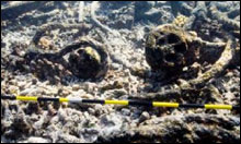 Rigging components (deadeyes) at the wreck site correspond in size to the lower shrouds of a 600-ton vessel