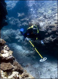 Diver conducts search with a handheld metal detector at French Frigate Shoals (Credit: Tane Casserley/NOAA)