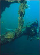 A diver swims underneath the Amesbury's bow.