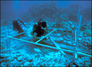 divers documenting a site