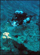 NOAA diver documents the shipwreck.