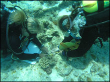 NOAA archaeologists measuring some of the many small artifacts at the site.