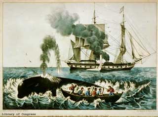 http://sanctuaries.noaa.gov/maritime/images/whaling3.jpg