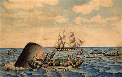 whaling illustration