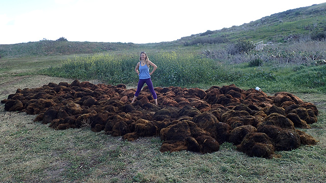 lindsay marks standing in the center of a large pile of seaweed