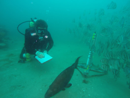 photo of scientist with a fish