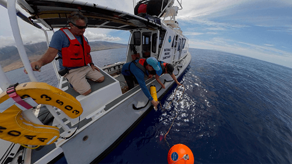 People on a research vessel leaning over the side of the vessel to deploy a piece of equipment attached to a buoy with a rope.