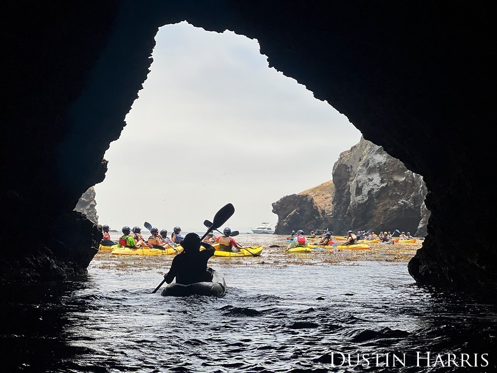 a large group of paddleboard around channel islands