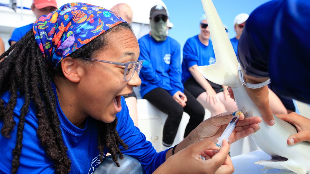 Jaida Elcock draws blood from a shark during a scientific work-up aboard Field School’s research vessel.