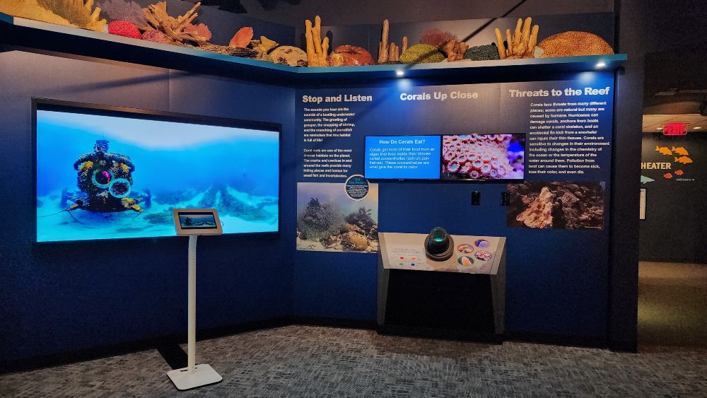 an exhibit with a tv screen, photos of corals, and a microscope