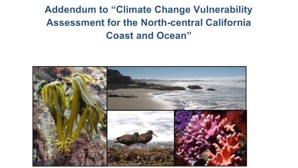 Cover of the Addendum to “Climate Change Vulnerability Assessment for the North-central California Coast and Ocean,” including images of kelp, coastline, birds, and coral.