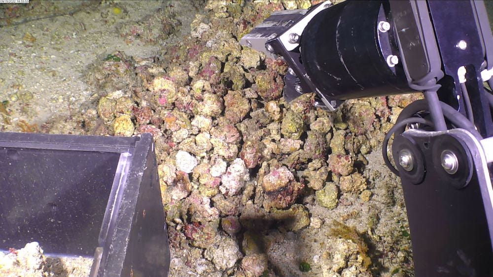 ROV arm collectiong marine rubble
