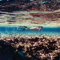 A person swims above coral