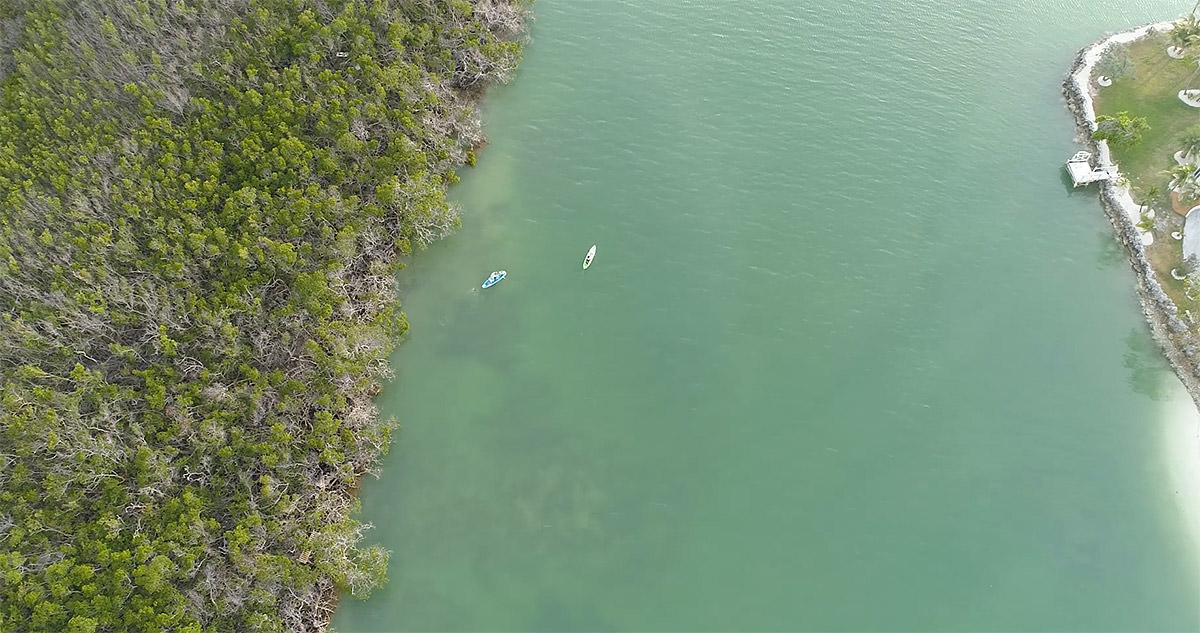 Two kayakers seen from above