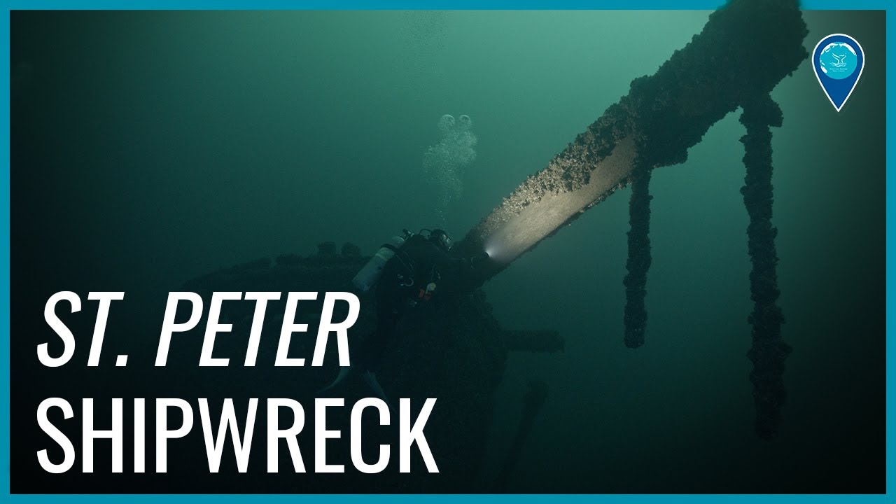 A diver swims above a shipwreck