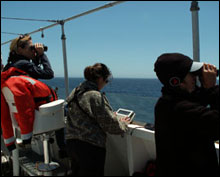 Scanning for wildlife from the flying bridge
