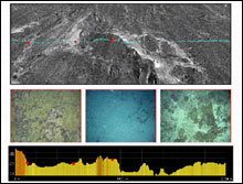 Backscatter showing on top, each of the blue dots shown across represent points were image data was taken to ground-truth the backscatter map. Red dots have the image showing below it, and the topography profile at the bottom. Note how images show first a mix of hard and soft substrate, a sandy bottom, and a hard substrate, each shown on backscatter as gray, light, and dark areas, respectively.