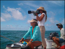Cynthia Vanderlip and her team conduct spinner dolphin surveys in the lagoon around Green Island at Kure Atoll.
