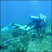 A diver monitoring the site.