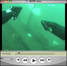 Video footage of shipwreck (including cylinder heads of a 3-cylinder diesel engine) and associated biological community. Video footage credit: Michael Carver/Cordell Bank National Marine Sanctuary)