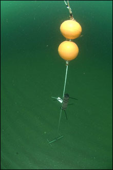 Acoustic receiver deployed and ready to listen for tagged fish