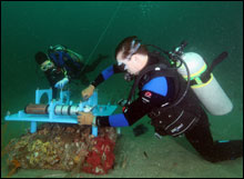 Scott Noakes and Sarah Fangman attaching instruments on the seafloor observatory. 