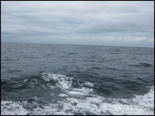 The blue-gray waters of Gray's Reef. 