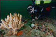 Team Ocean volunteer diver Keith Borden. 