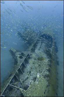 u352 under water