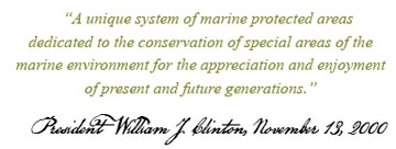 quote about the sanctuaries from president clinton
