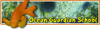 Ocean Guardian Classroom