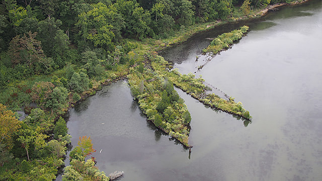 aerial view of mallows bay