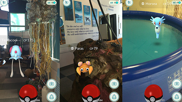some of the pokemon found at the olympic coast discovery center