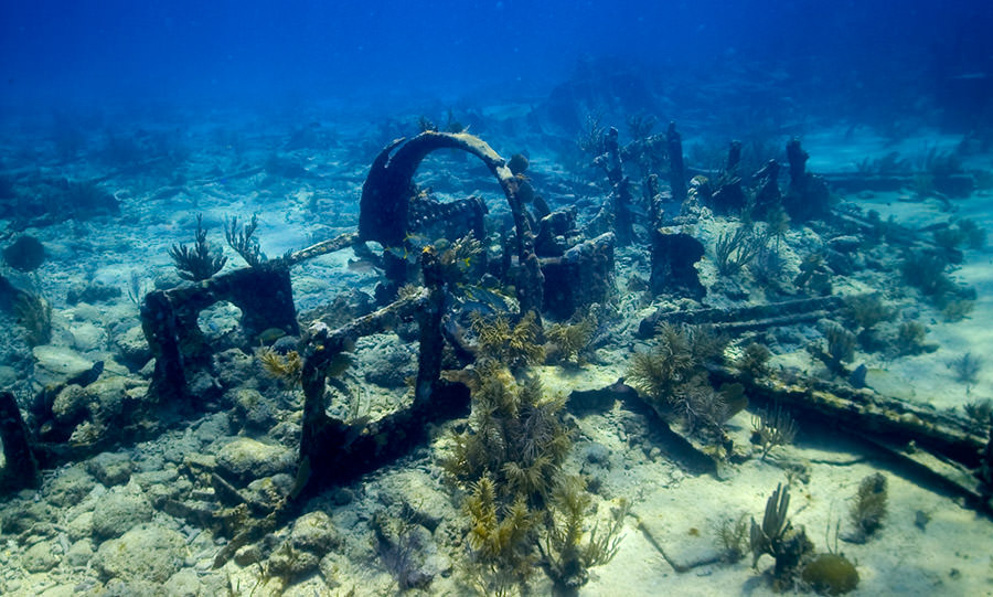 photo of a shipwreck in the florida keys