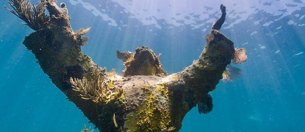 statue of christ underwater in the florida keys
