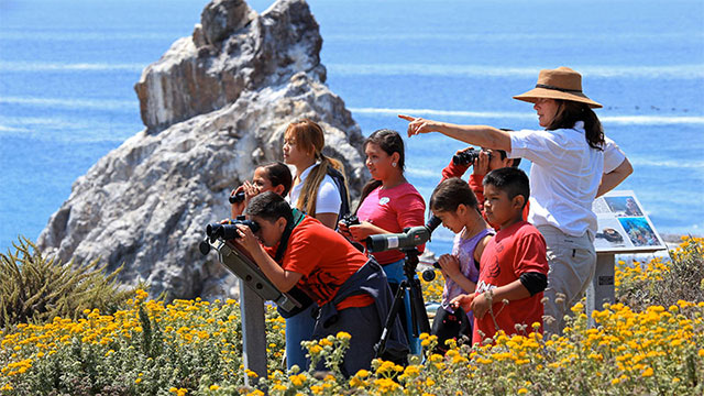 Carolyn Skinder guides young naturalists in monterey bay