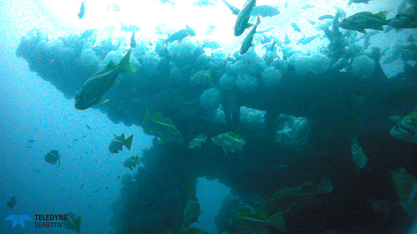 ituna's stern underwater
