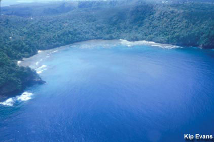 photo of Fagatele Bay from the air