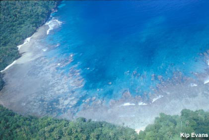 photo of Fagatele Bay reef from the air